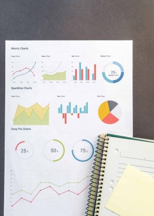 Audit_TribeUX_100325